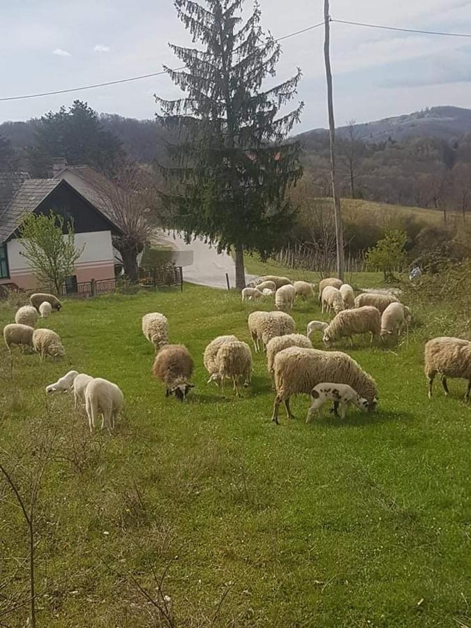 Kod Slaveka Διαμέρισμα Kostanjevac Εξωτερικό φωτογραφία